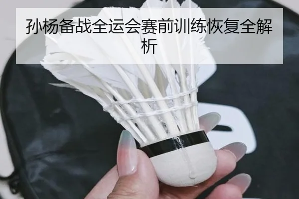 孙杨备战全运会赛前训练恢复全解析